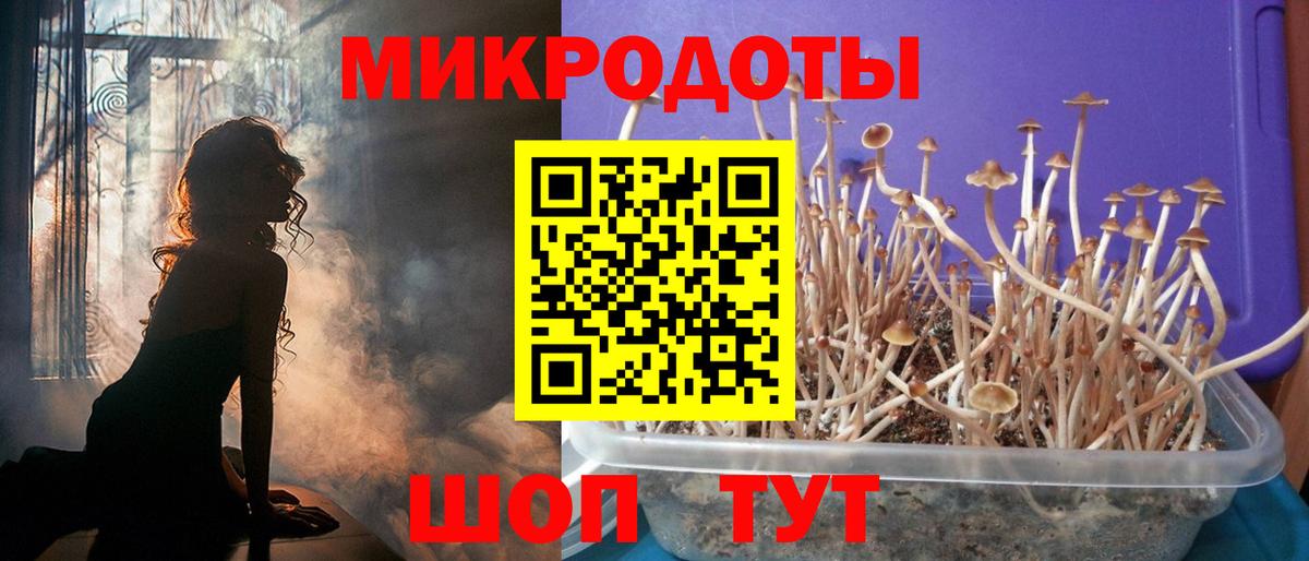 Галлюциногенные грибы мицелий  Вход с VPN  Гатчина 